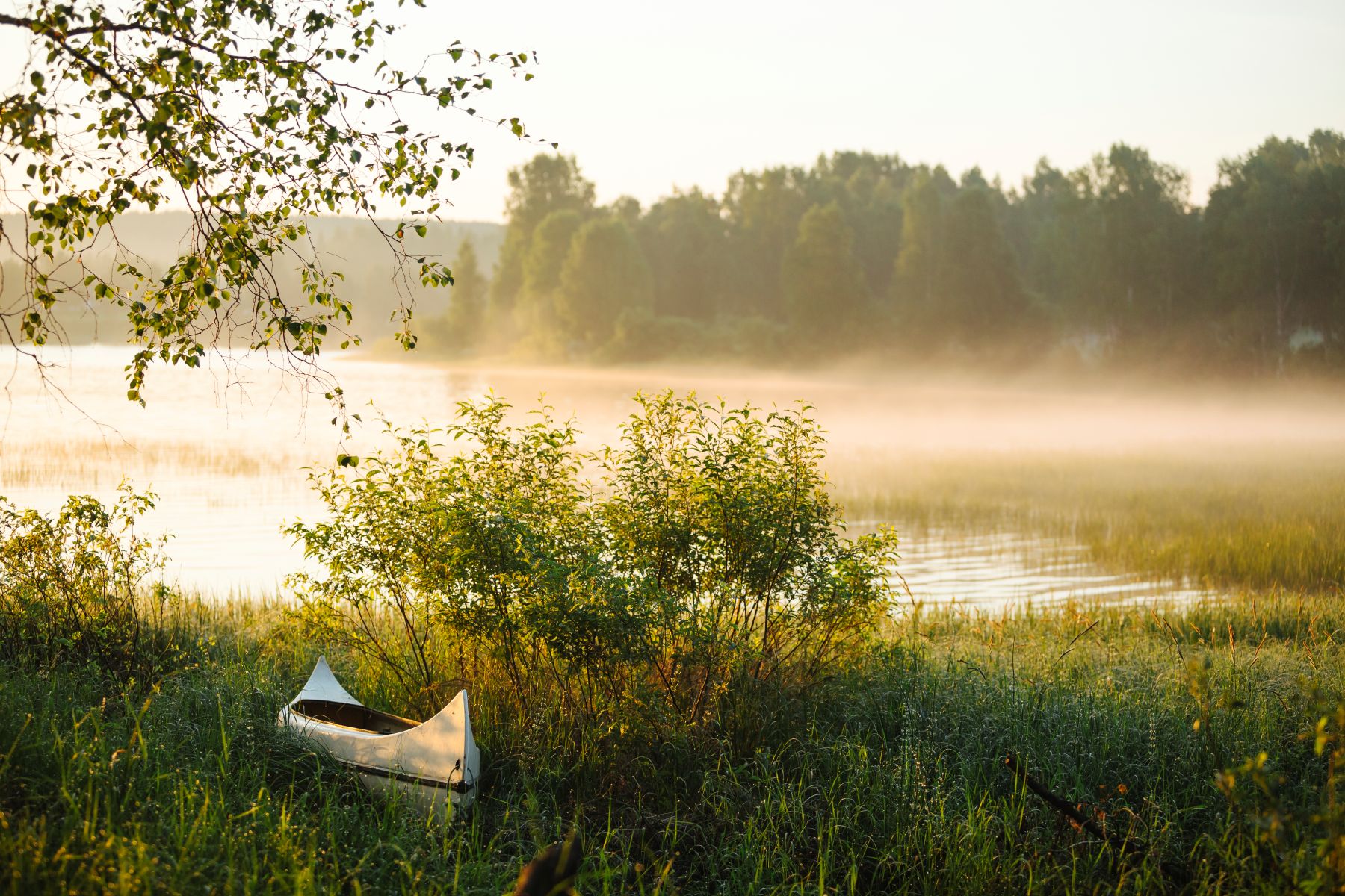Vatten, gräs, kanot